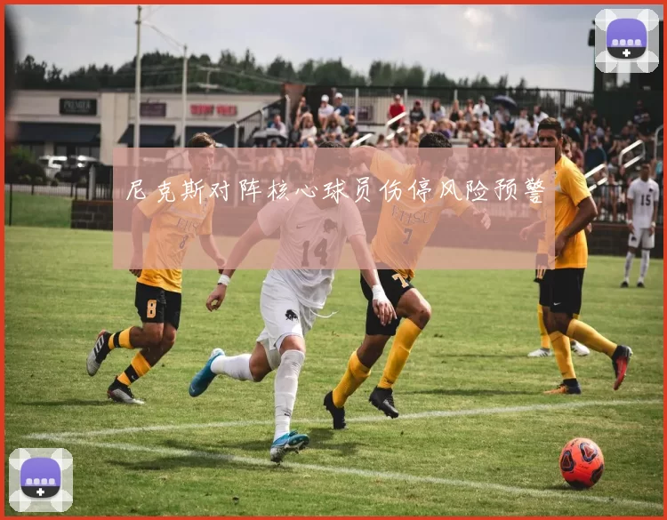 尼克斯对阵核心球员伤停风险预警