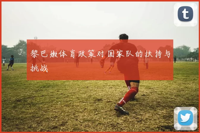 黎巴嫩体育政策对国家队的扶持与挑战