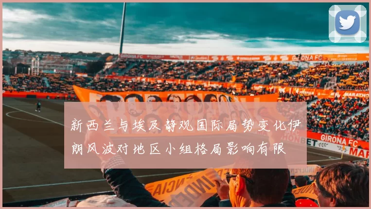 新西兰与埃及静观国际局势变化伊朗风波对地区小组格局影响有限