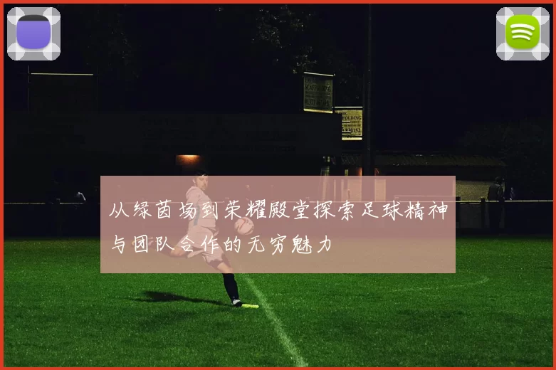 从绿茵场到荣耀殿堂探索足球精神与团队合作的无穷魅力