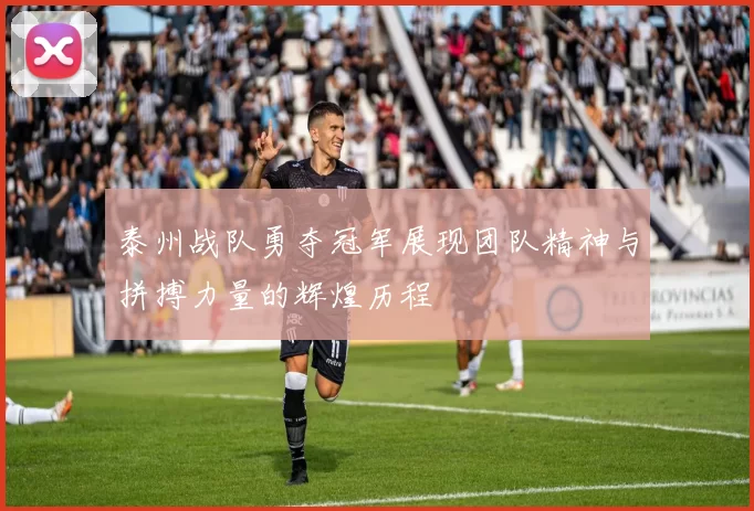 泰州战队勇夺冠军展现团队精神与拼搏力量的辉煌历程