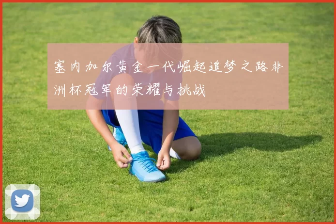 塞内加尔黄金一代崛起追梦之路非洲杯冠军的荣耀与挑战