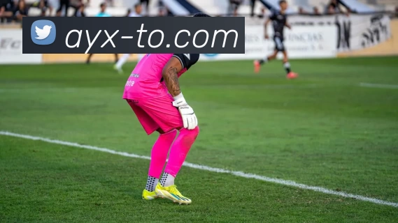 App Interface Preview